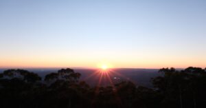 Nascer do sol no horizonte, através das árvores