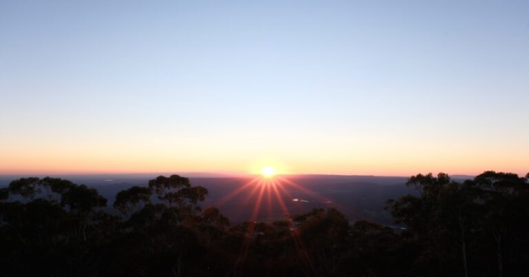 Nascer do sol no horizonte, através das árvores