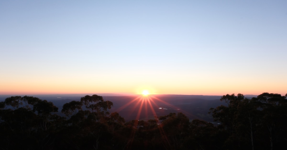 Nascer do sol no horizonte, através das árvores