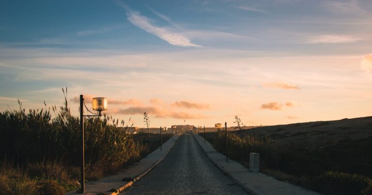 estrada de concreto perto de campo de grama
