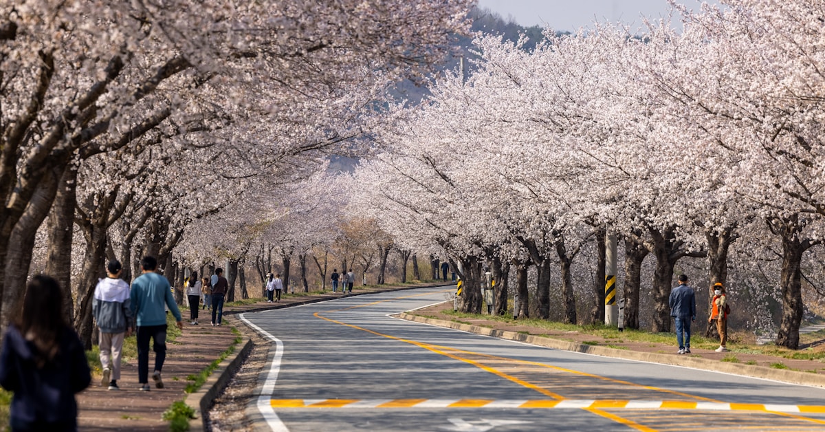 Cena relacionada a abrir os caminhos e aliviar a ansiedade